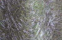 Brogaig fibreglass roof work